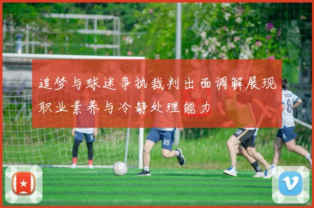 追梦与球迷争执裁判出面调解展现职业素养与冷静处理能力