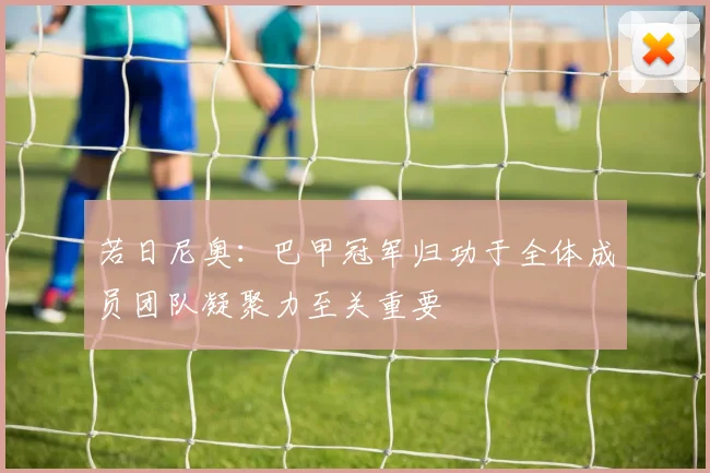 若日尼奥：巴甲冠军归功于全体成员团队凝聚力至关重要